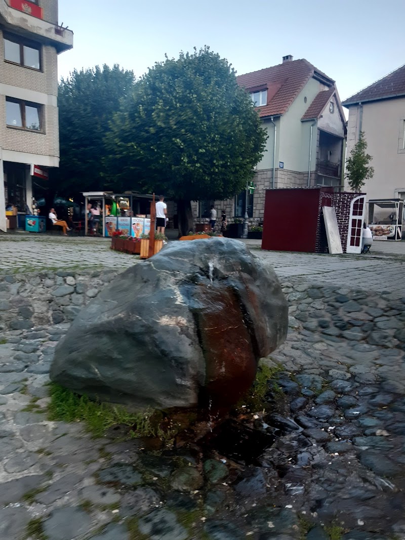 Guest House Bakic in Kolasin, Montenegro