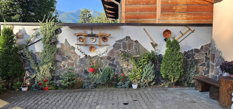 Guesthouse Adriana in Borsa, Romania