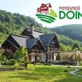 Guesthouse Doina