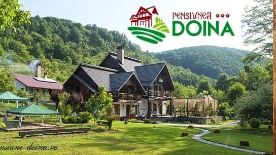Guesthouse Doina in Borsa, Romania