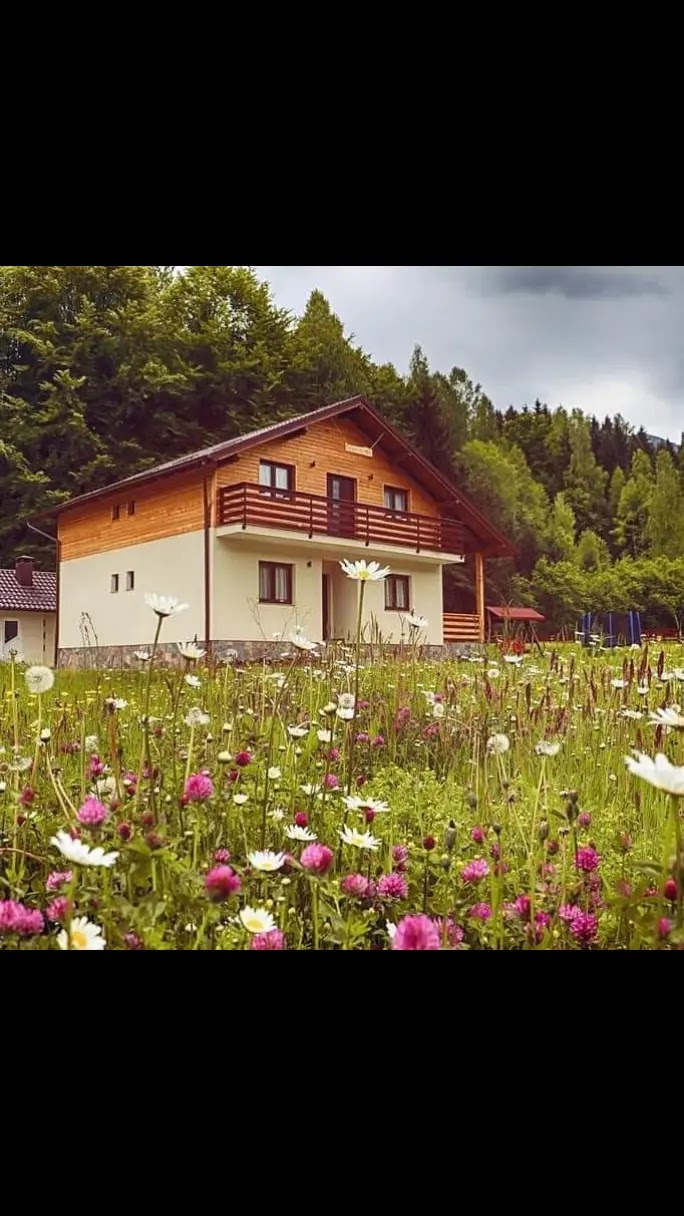 Guesthouse Floare de Colt in Borsa, Romania