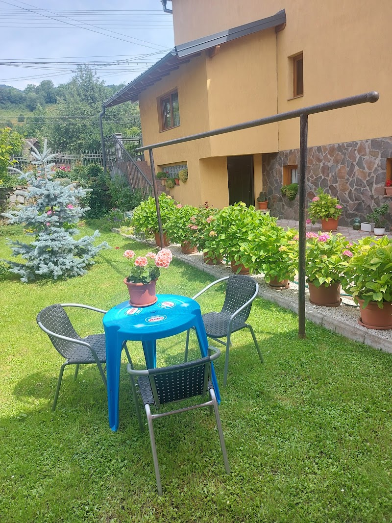 Guesthouse Livia in Borsa, Romania