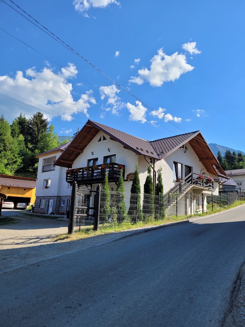 Guesthouse Liviu in Borsa, Romania