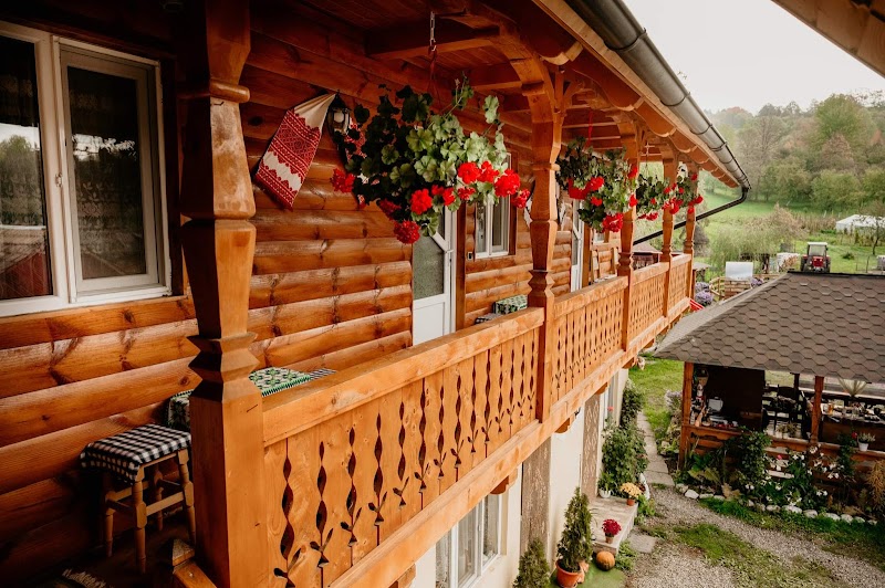 Guesthouse Pintea in Borsa, Romania