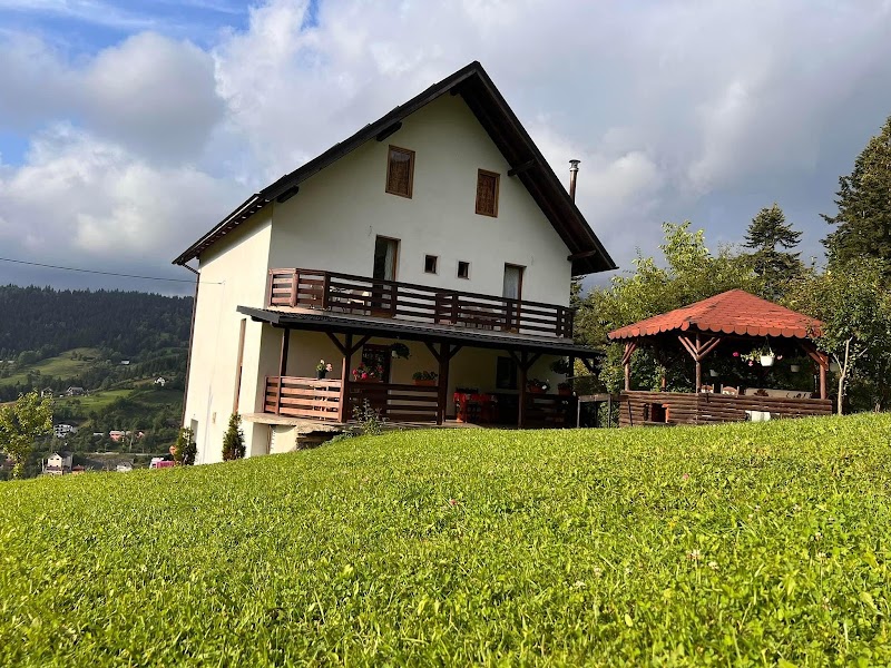 Guesthouse Viorica in Borsa, Romania