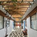 Hostal Cactus