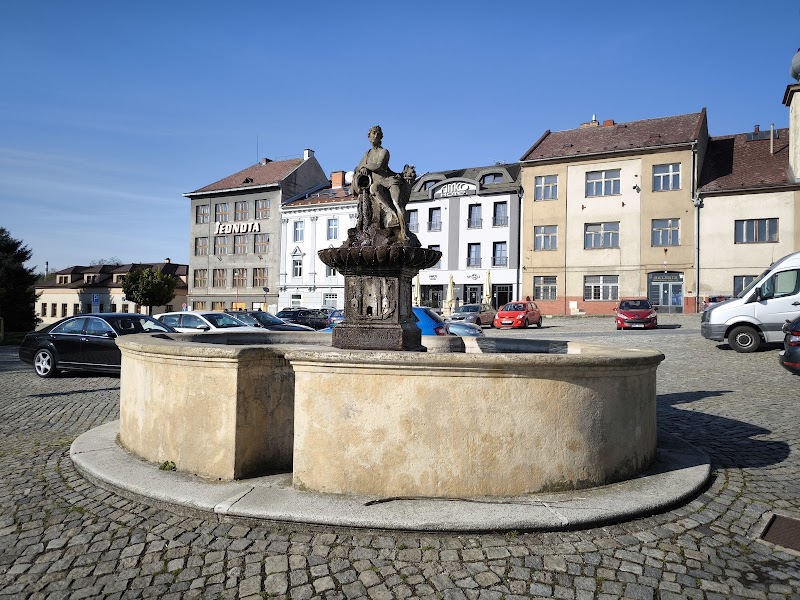 Hotel Amco in Zabreh, Czechia