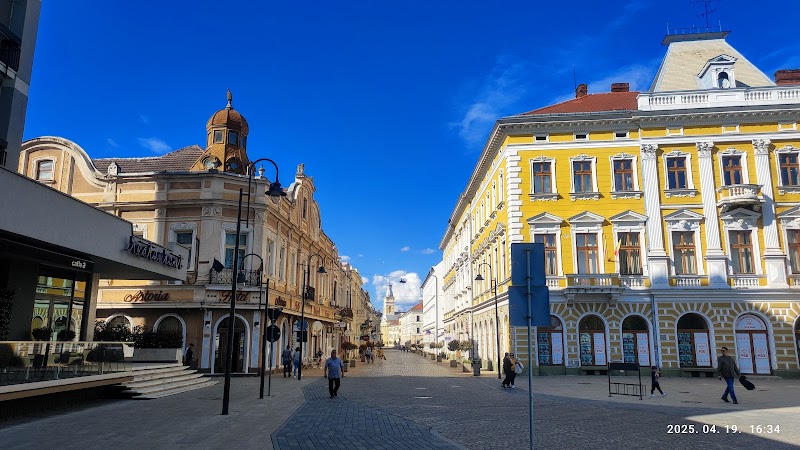 Hotel Astoria in Satu Mare, Romania