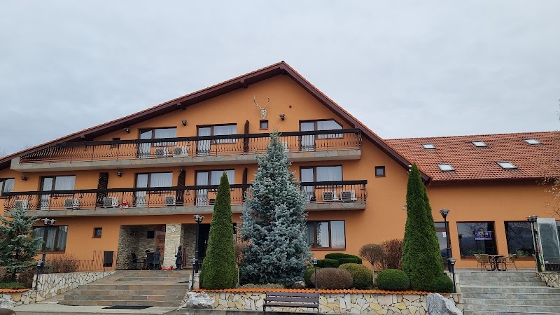 Hotel Belvedere in Sovata, Romania