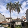 Hotel Calle Angosta