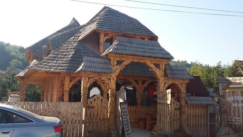 Hotel Carpatia Express in Viseu de Sus, Romania