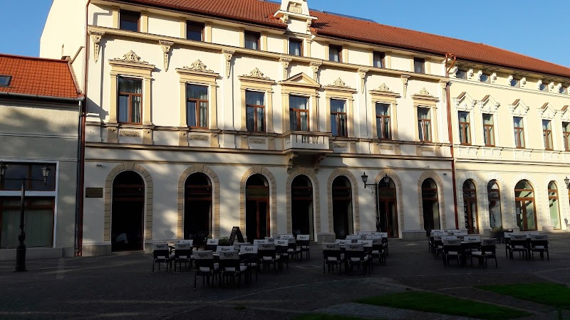 Hotel Central Carei in Carei, Romania