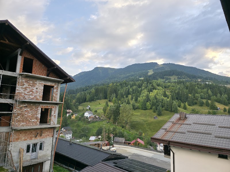 Hotel Cerbul in Borsa, Romania