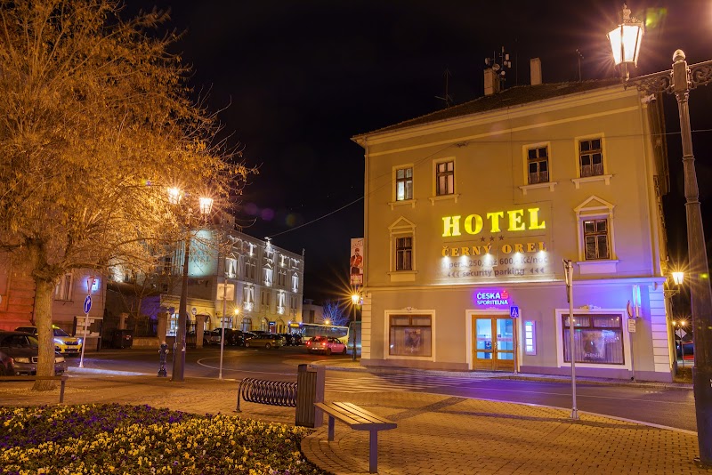 Hotel Černý Orel in Zatec, Czechia
