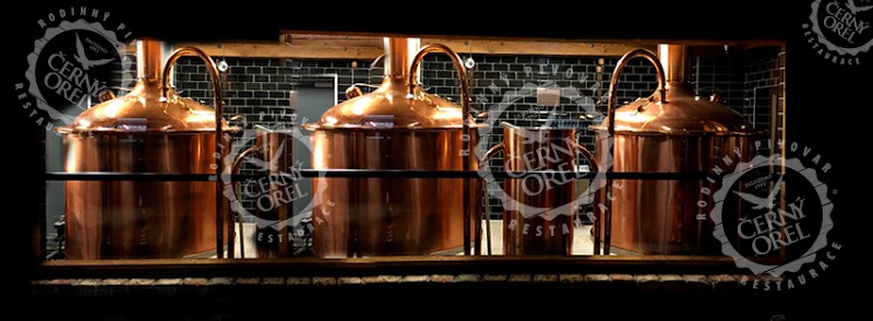 Hotel Černý Orel in Teplice, Czechia