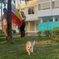 Hotel Chonero