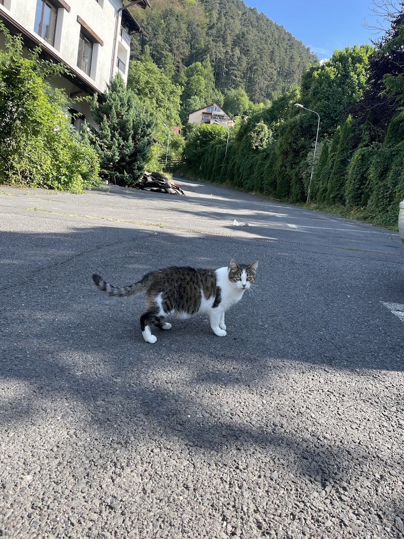 Hotel Classic Inn in Brasov, Romania