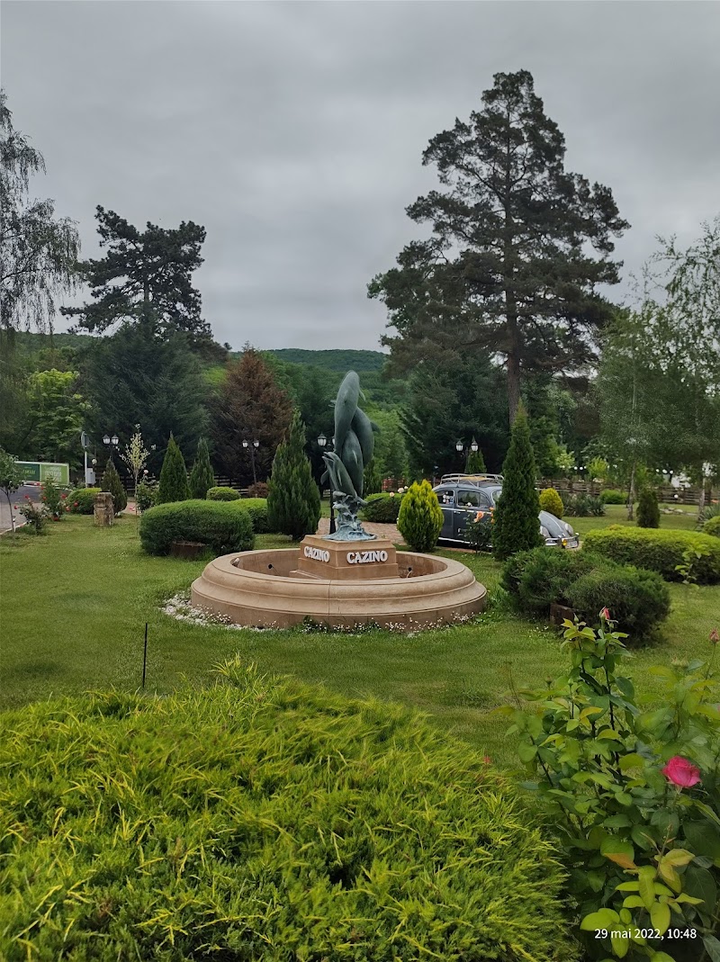 Hotel Crang in Buzau, Romania