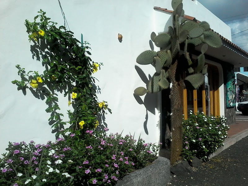Hotel Flamingo in Puerto Ayora, Ecuador
