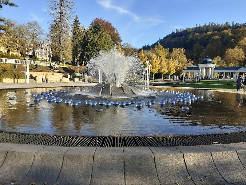 Hotel Flora in Marianske Lazne, Czechia