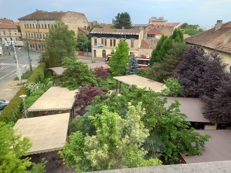 Hotel Gio in Arad, Romania