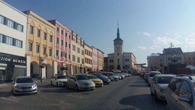 Hotel Hvezda in Kromeriz, Czechia