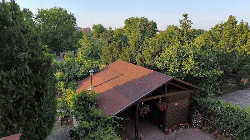 Hotel Larissa in Arad, Romania