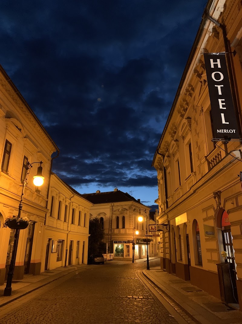 Hotel Merlot in Louny, Czechia
