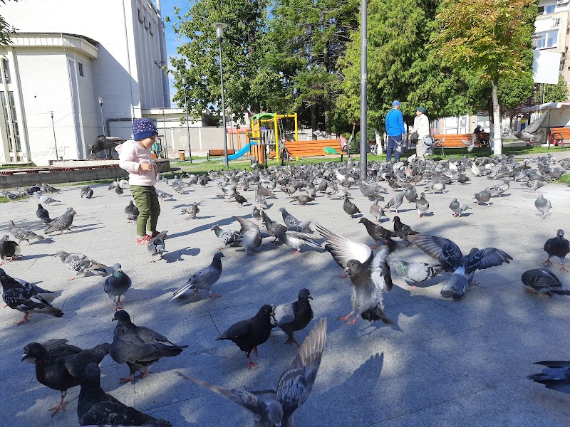 Hotel Onix in Petrosani, Romania