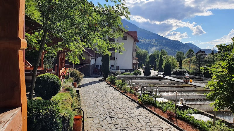 Hotel Paltinis in Borsa, Romania