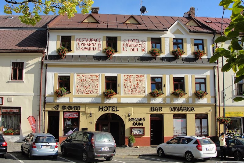 Hotel Panský Dům in Nove Mesto na Morave, Czechia