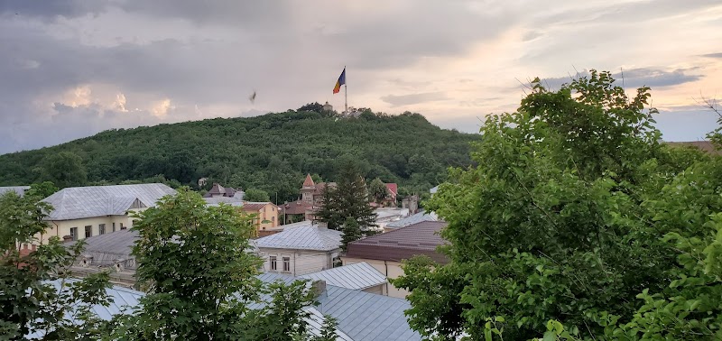 Hotel Paradis in Slatina, Romania