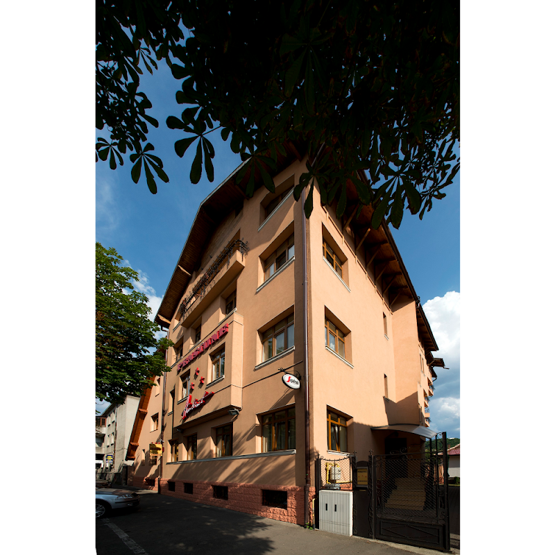 Hotel Pensiune Ambient in Brasov, Romania