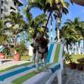 Hotel Puerto Ballesta