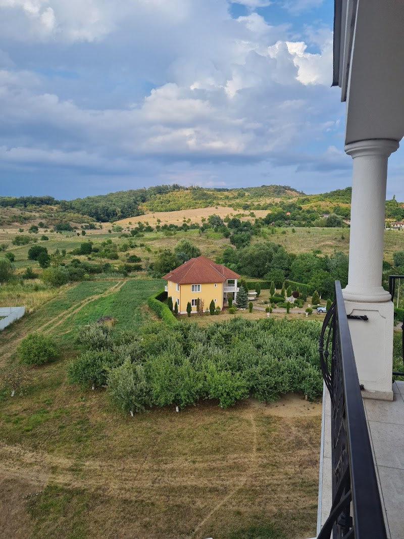 Hotel Sandoria in Targu-Mures, Romania