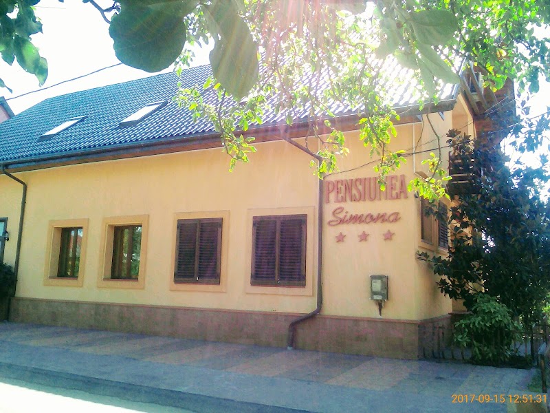 Hotel Simona in Targu Jiu, Romania