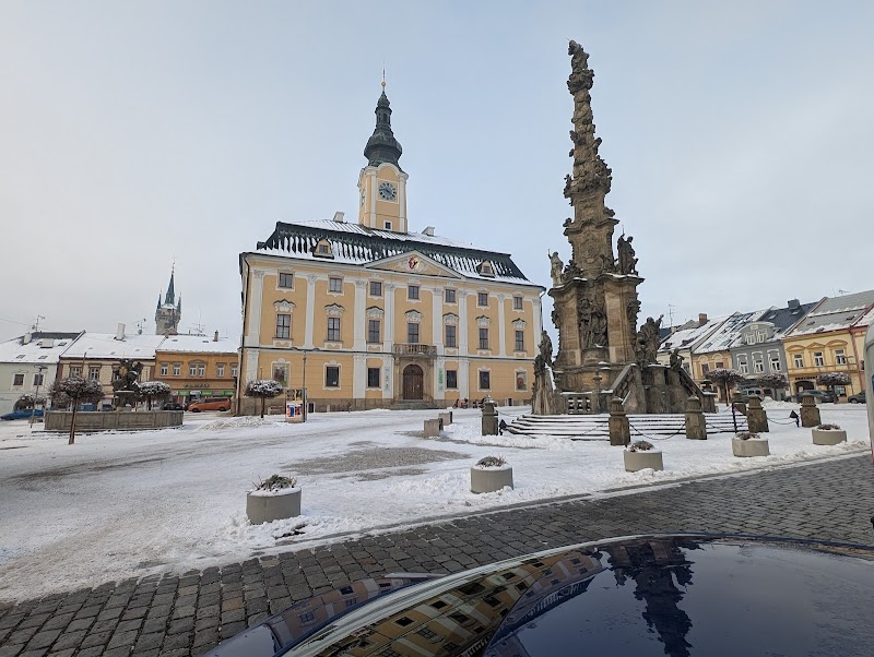 Hotel THT in Policka, Czechia