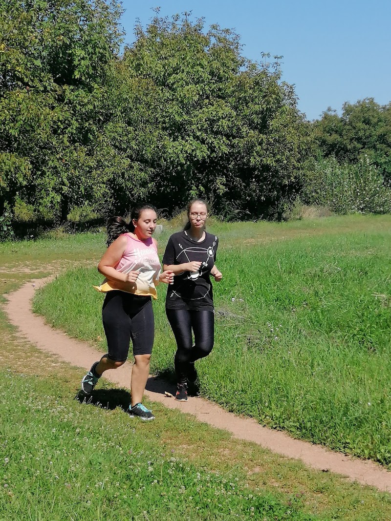 Hotel Tineretului in Targu Jiu, Romania