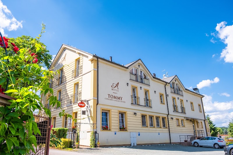 Hotel Tomy in Hradec Kralove, Czechia