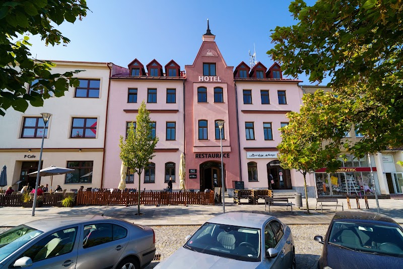 Hotel U Labutě in Zd'ar nad Sazavou, Czechia