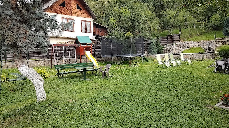 Hotel Vaser in Viseu de Sus, Romania