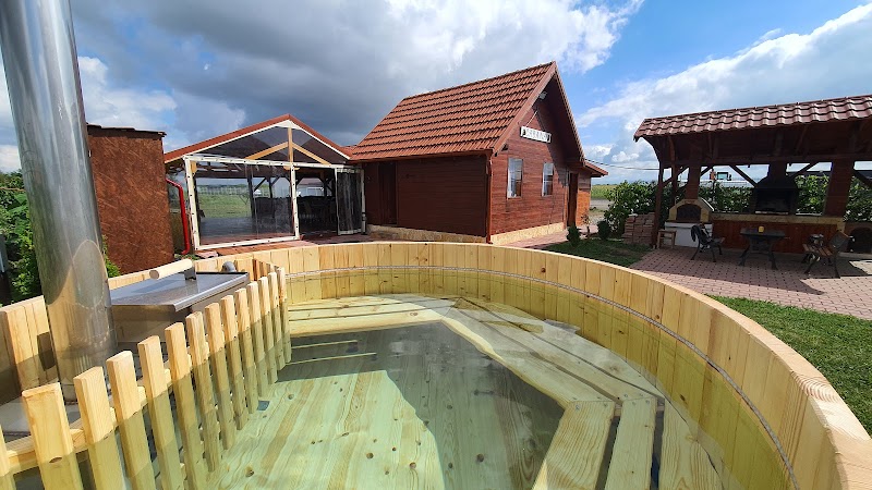 Hotel Vila Ana in Satu Mare, Romania