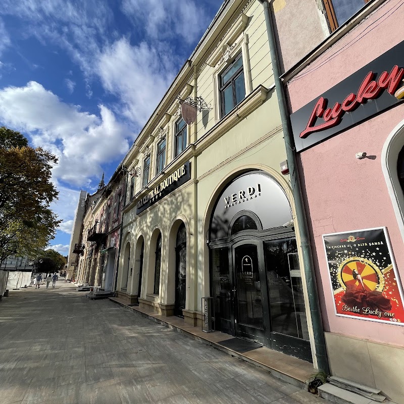 Hotel Villa Bodi in Satu Mare, Romania