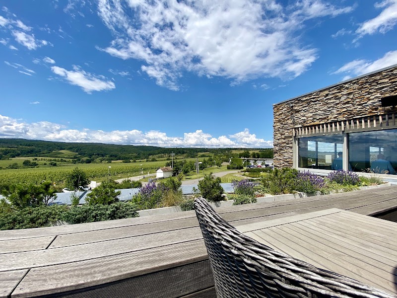 Hotel Vinice Hnanice in Znojmo, Czechia
