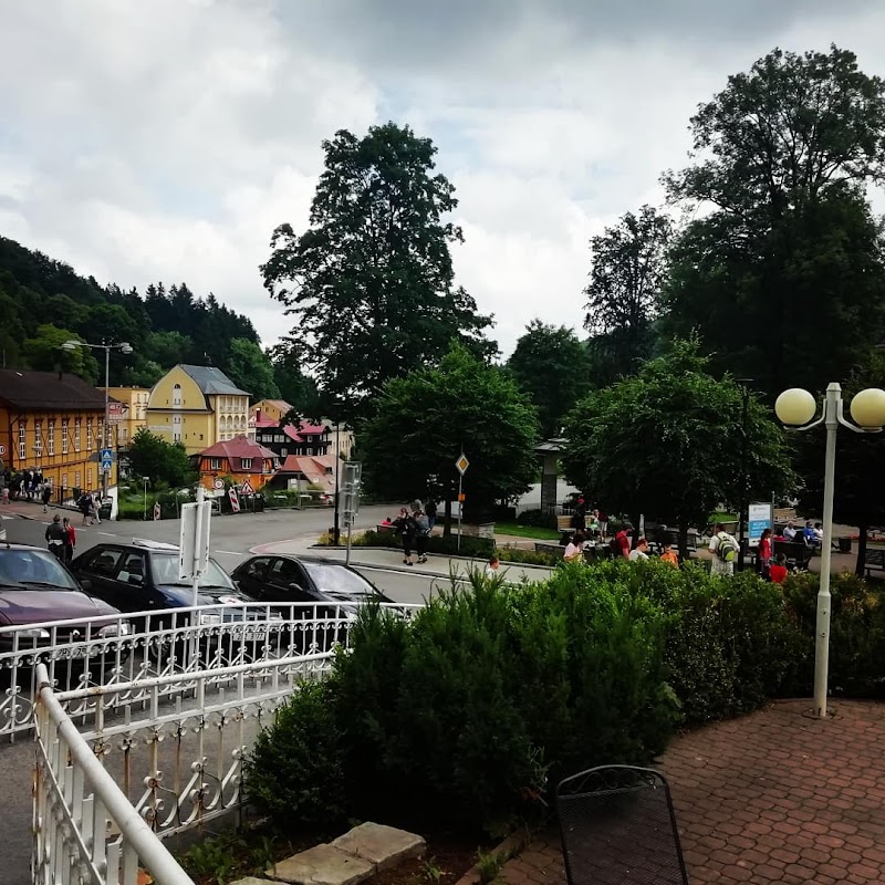 Hotel Zlatá Kotva in Teplice, Czechia