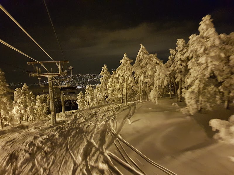 Kongsberg Vandrerhjem Bergmannen in Kongsberg, Norway