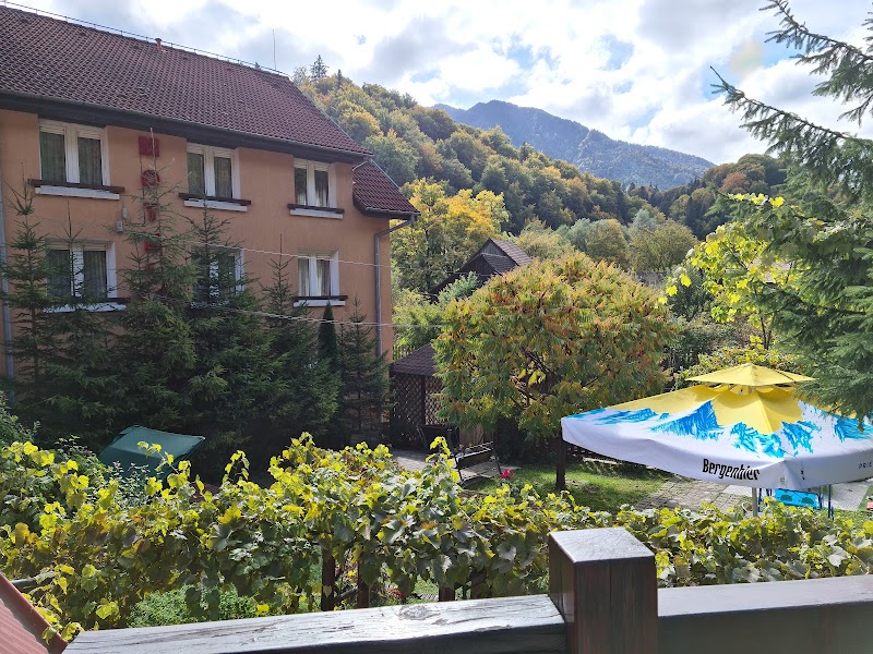 Motel Timisul de Jos in Sacele, Romania