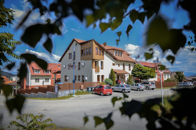 Panorama Pension in Odorheiu Secuiesc, Romania