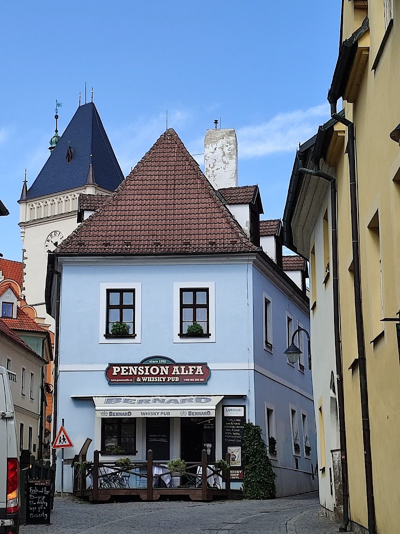 Pension Alfa Tábor in Tabor, Czechia