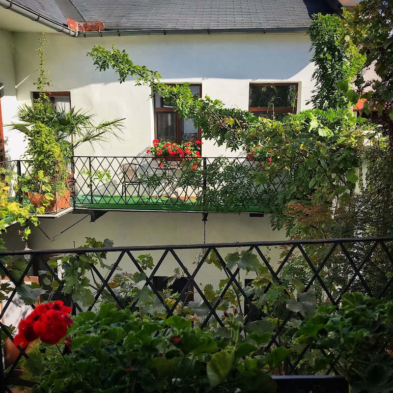 Pension Bellis in Olomouc, Czechia